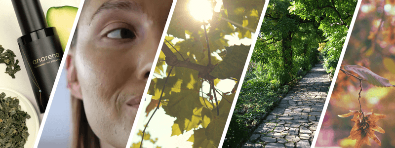 Nachhaltige Hautpflege: Tipps und Produkte für umweltbewusste Schönheit