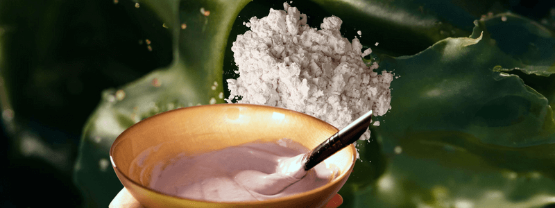 Algen – Energie-Boost für die Haut