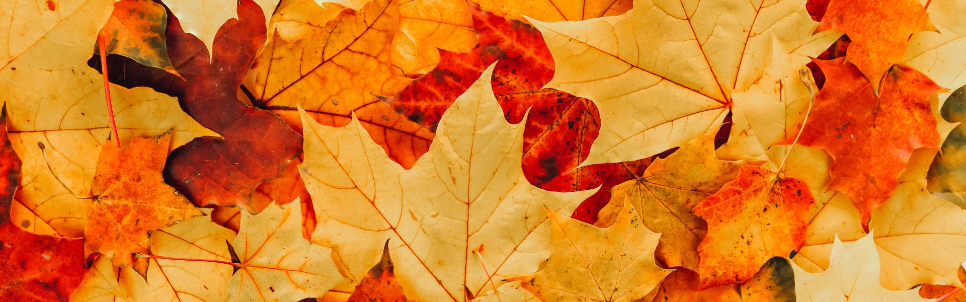 Beauty-Routine im Herbst